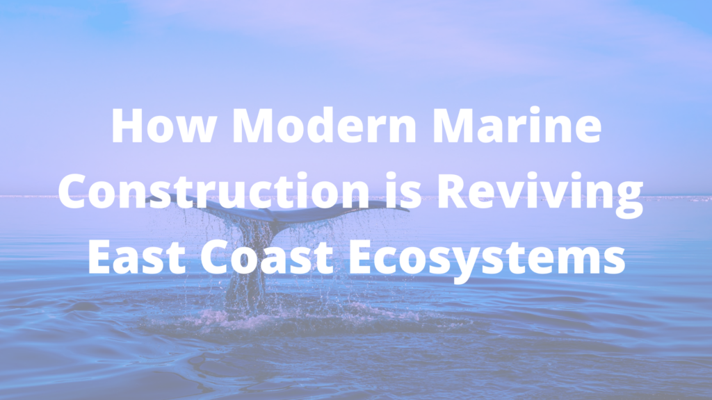 How Modern Marine Construction is Reviving East Coast Ecosystems